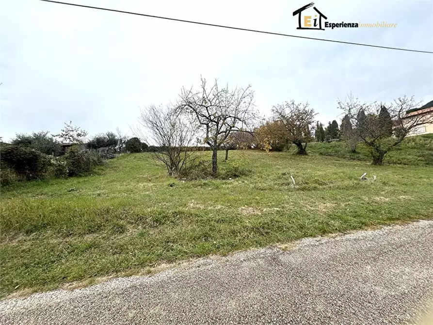 Immagine 4 di Terreno edificabile in vendita  snc a Casperia