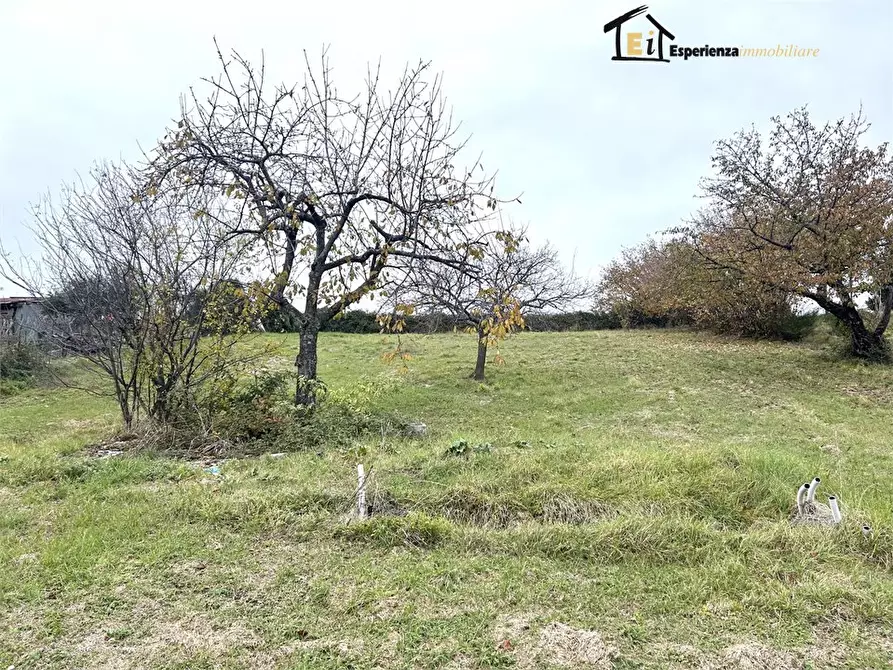 Immagine 7 di Terreno edificabile in vendita  snc a Casperia