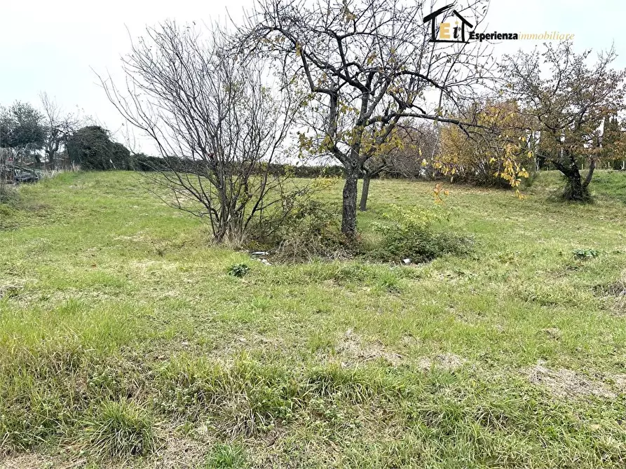 Immagine 6 di Terreno edificabile in vendita  snc a Casperia