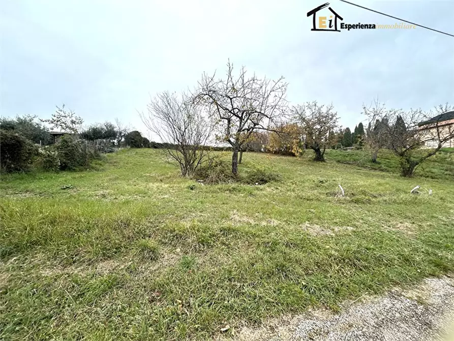 Immagine 2 di Terreno edificabile in vendita  snc a Casperia
