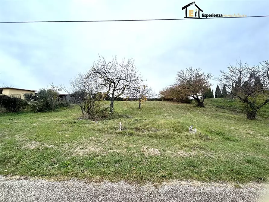 Immagine 3 di Terreno edificabile in vendita  snc a Casperia