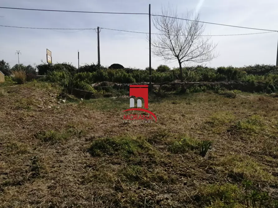 Immagine 1 di Terreno edificabile in vendita  SNC a Trapani