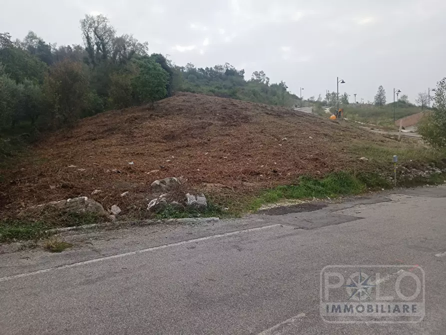 Immagine 3 di Terreno edificabile in vendita  a Sant'ambrogio Di Valpolicella