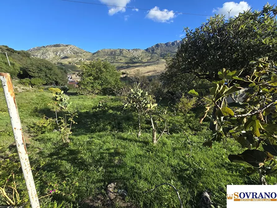 Immagine 6 di Terreno in vendita  a Monreale