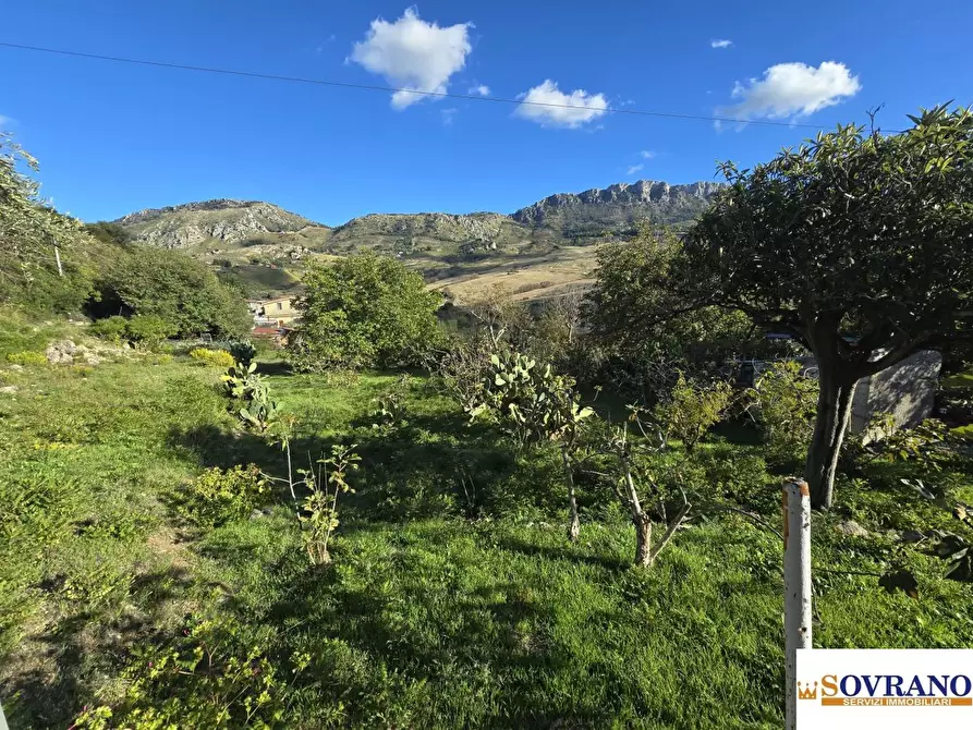 Immagine 5 di Terreno in vendita  a Monreale