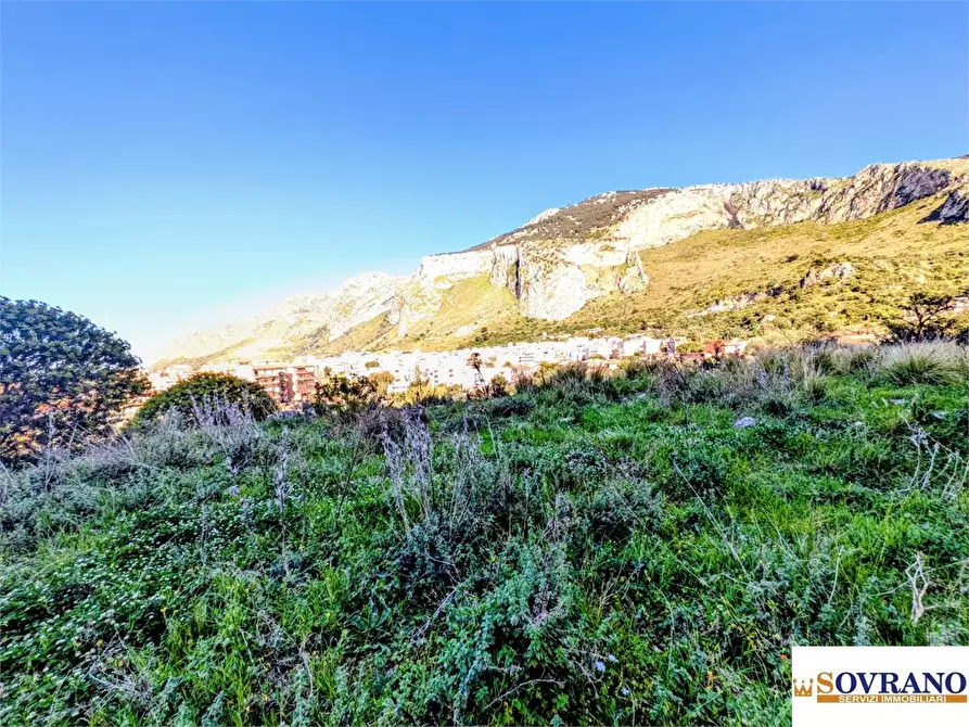 Immagine 4 di Terreno in vendita  a Capaci