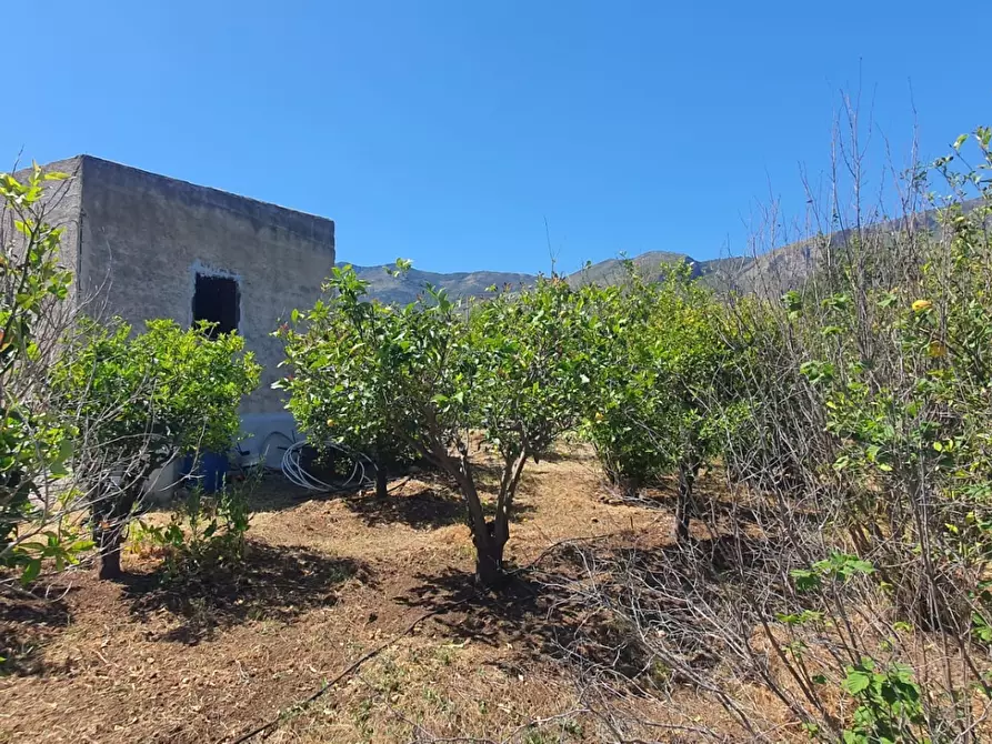 Immagine 4 di Terreno in vendita  17/A a Trabia