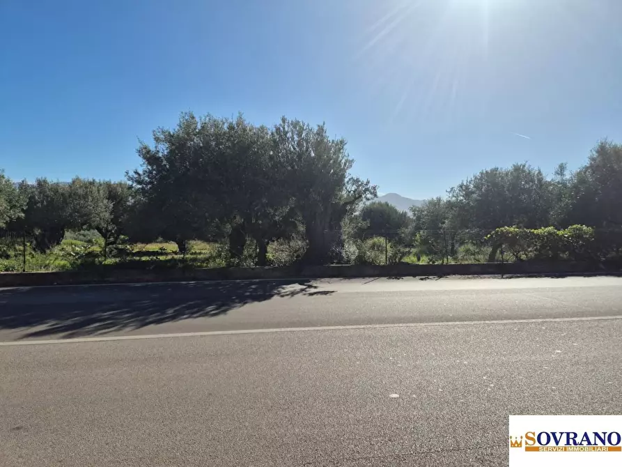 Immagine 6 di Terreno edificabile in vendita  a Carini