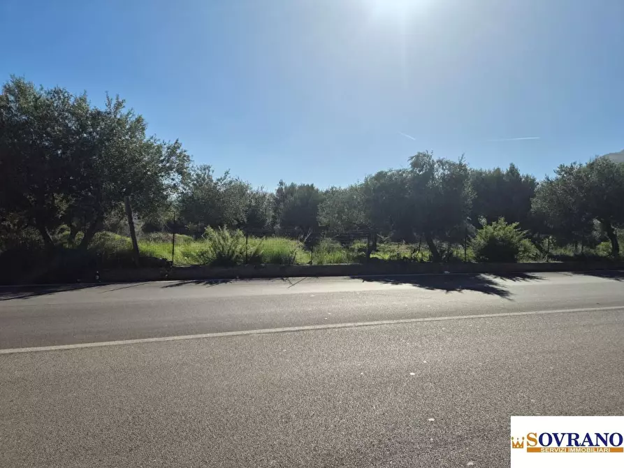 Immagine 9 di Terreno edificabile in vendita  a Carini