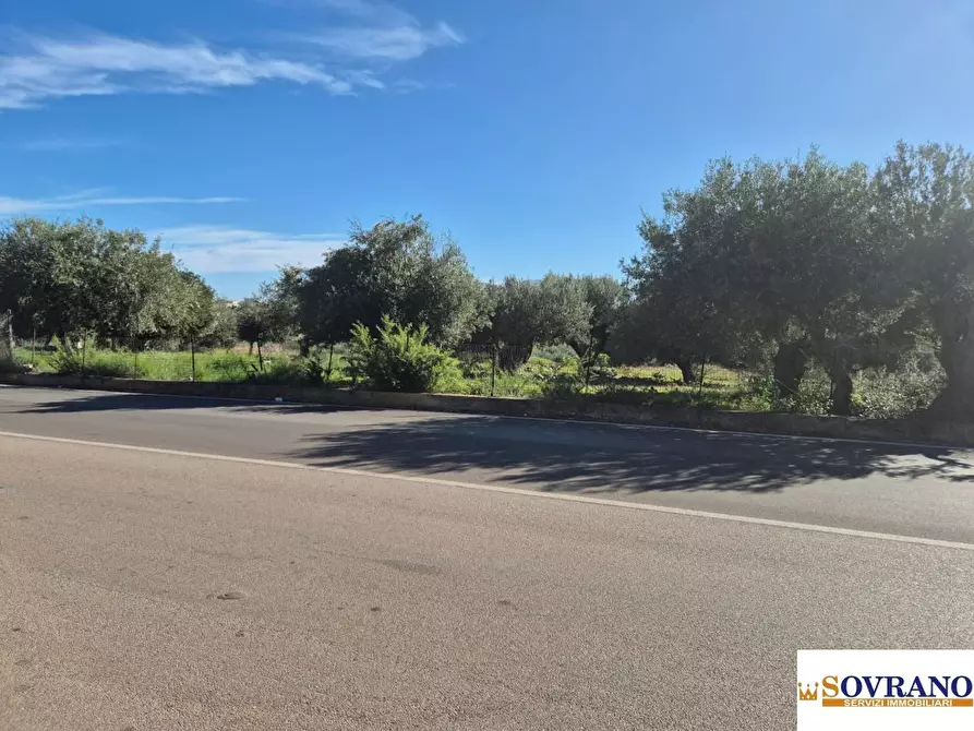 Immagine 7 di Terreno edificabile in vendita  a Carini