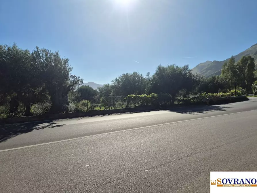 Immagine 8 di Terreno edificabile in vendita  a Carini