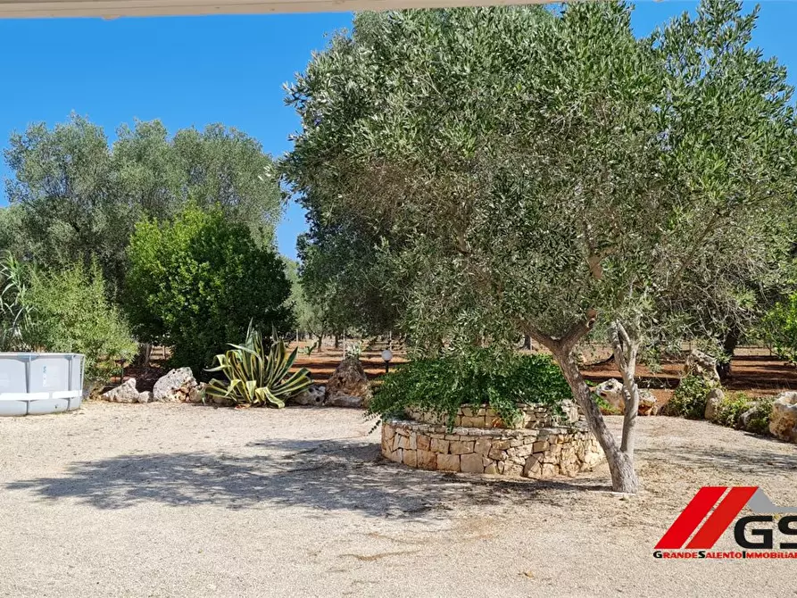 Immagine 7 di Rustico / casale in vendita  a Francavilla Fontana