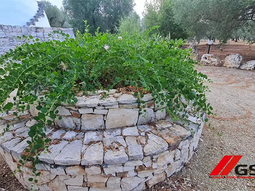 Immagine 4 di Rustico / casale in vendita  a Francavilla Fontana