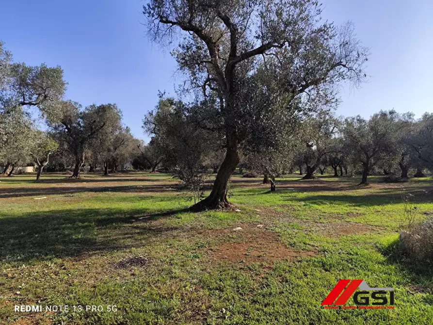 Immagine 3 di Rustico / casale in vendita  sn a Latiano