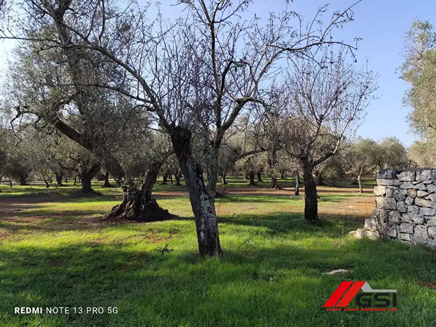 Immagine 2 di Rustico / casale in vendita  sn a Latiano