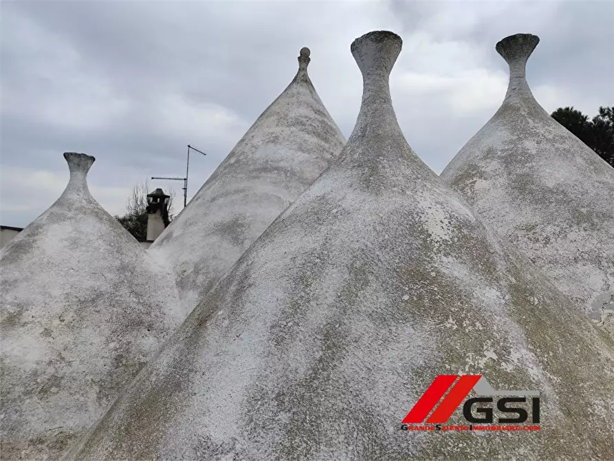 Immagine 5 di Rustico / casale in vendita  sn a San Michele Salentino