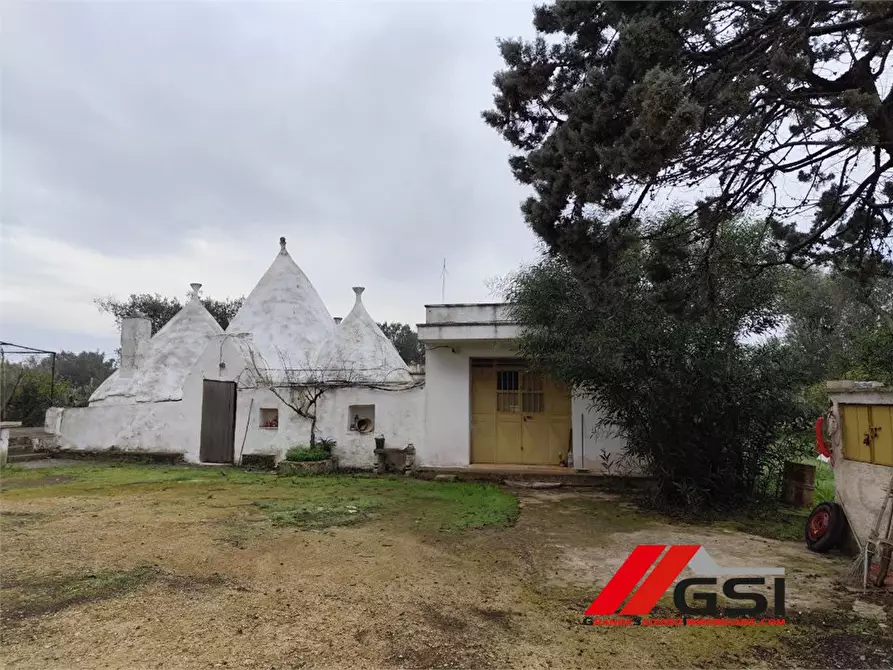 Immagine 3 di Rustico / casale in vendita  sn a San Michele Salentino