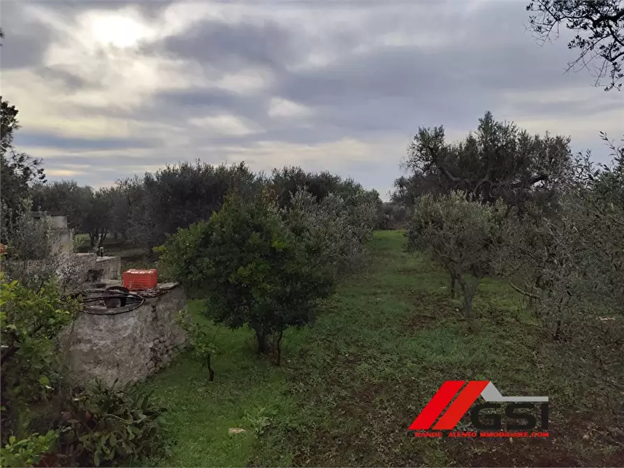 Immagine 9 di Rustico / casale in vendita  sn a San Michele Salentino