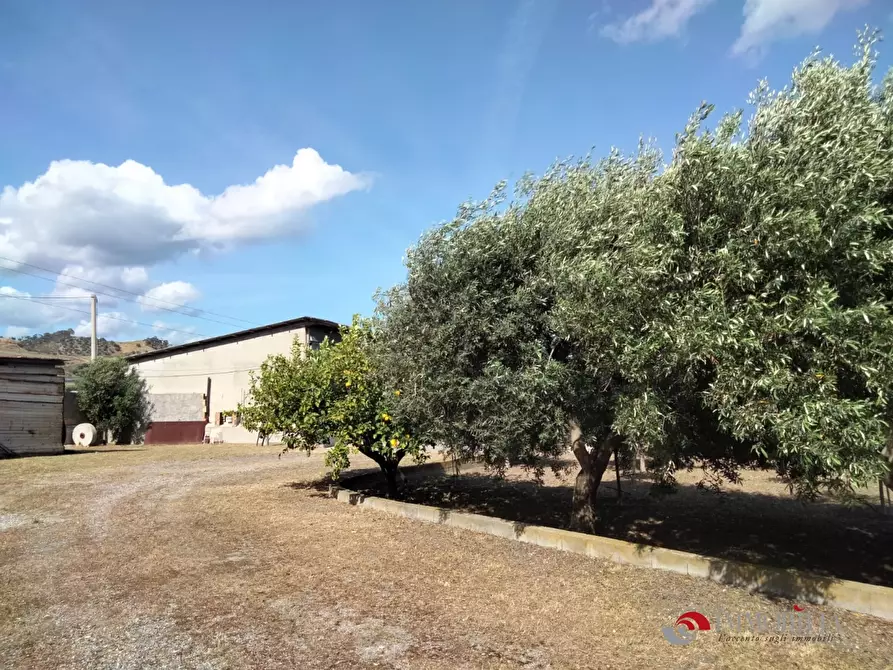 Immagine 5 di Ufficio in vendita  a San Lorenzo