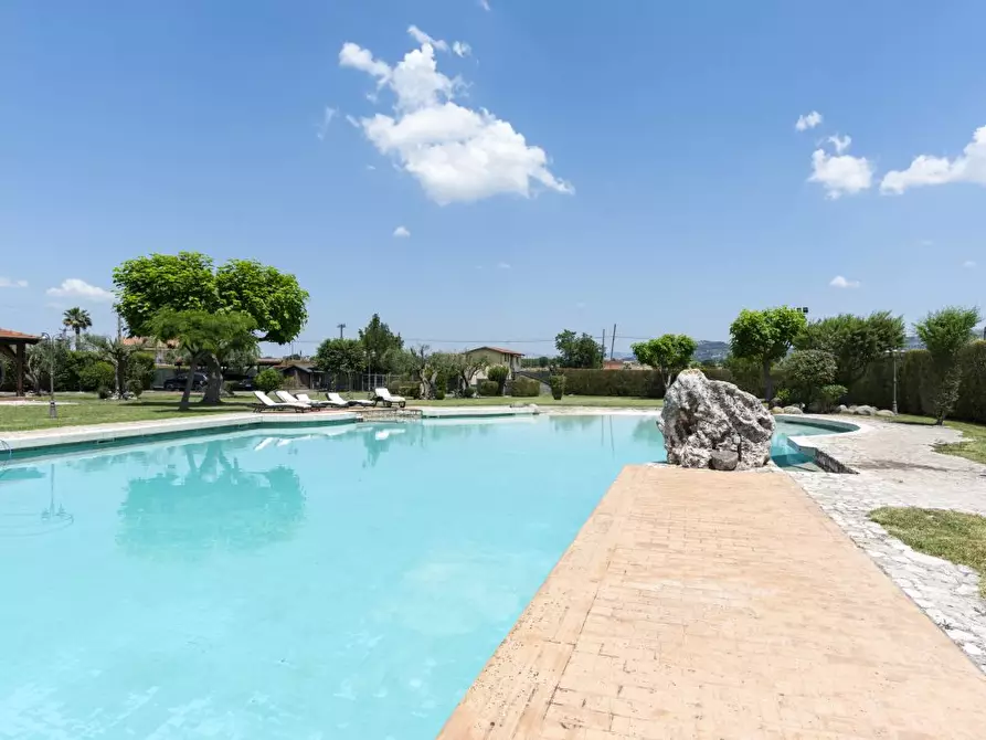 Immagine 4 di Villa in vendita  36 a Calvi