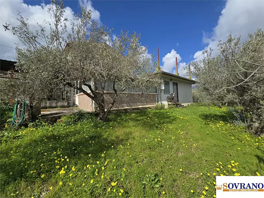 Immagine 2 di Villa in vendita  a Monreale