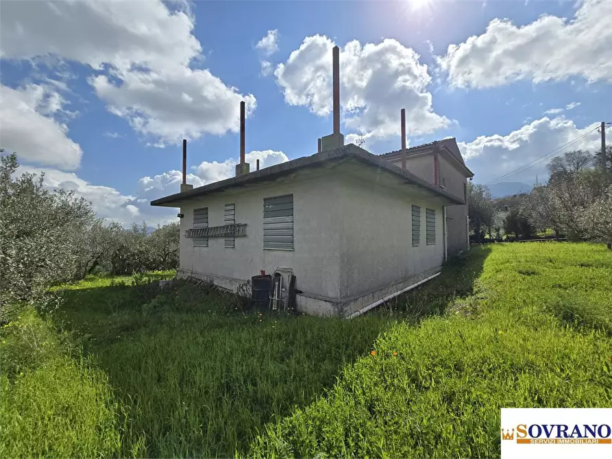 Immagine 3 di Villa in vendita  a Monreale