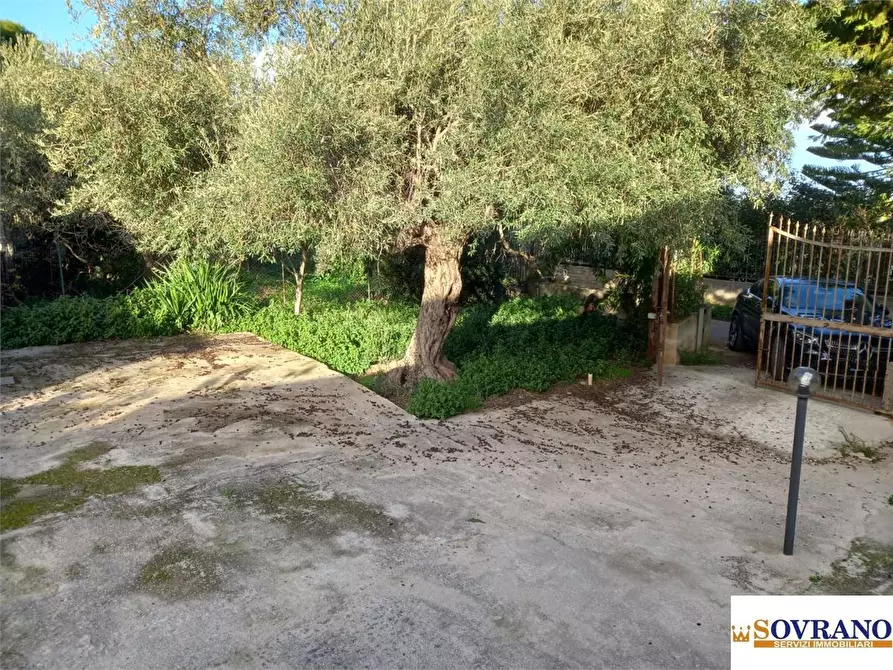 Immagine 5 di Villa in vendita  15 a Carini