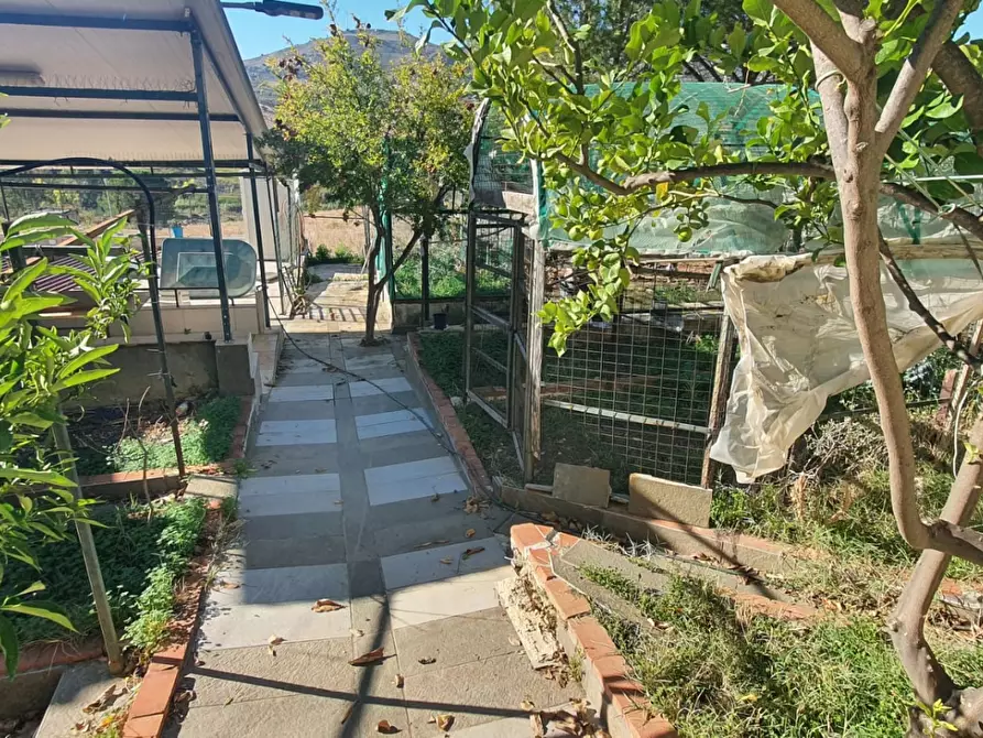 Immagine 9 di Villa in vendita  snc a Villafrati