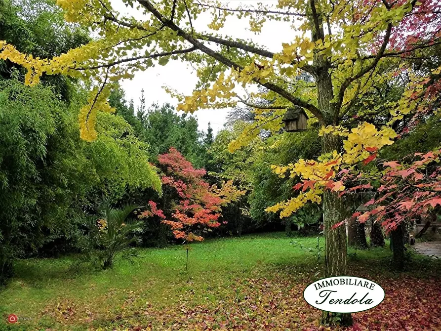 Immagine 3 di Villa in vendita  a Sarzana