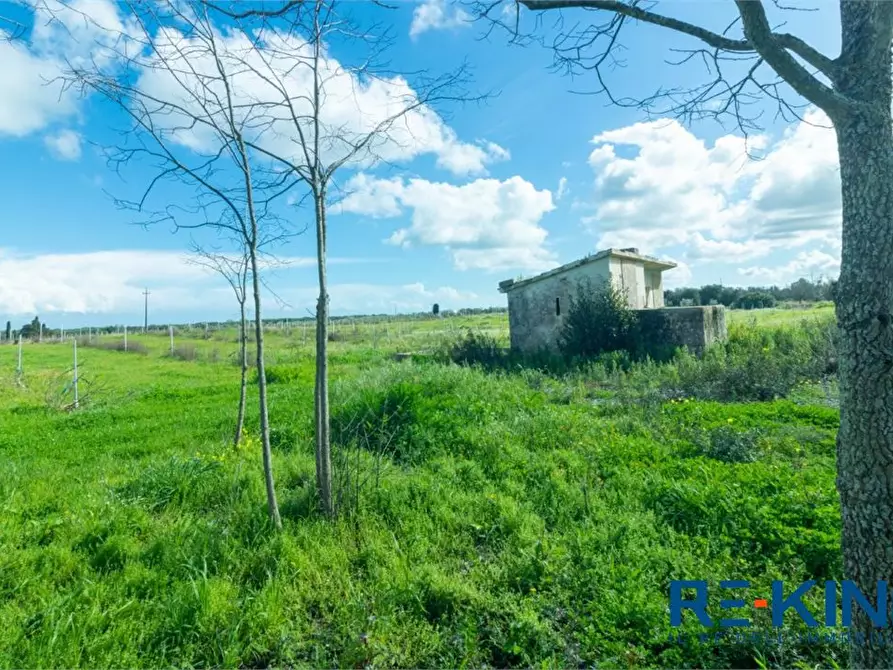 Immagine 10 di Rustico / casale in vendita  a Otranto