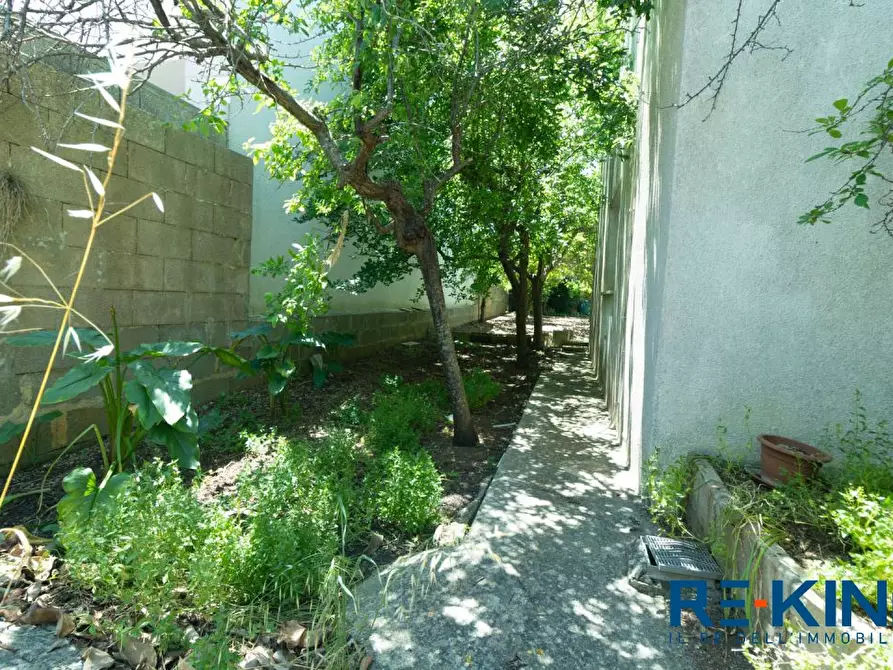 Immagine 7 di Villa in vendita  16 a Diso