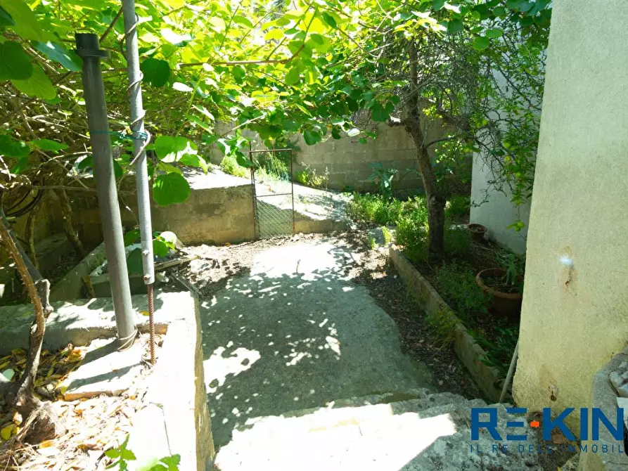 Immagine 6 di Villa in vendita  16 a Diso