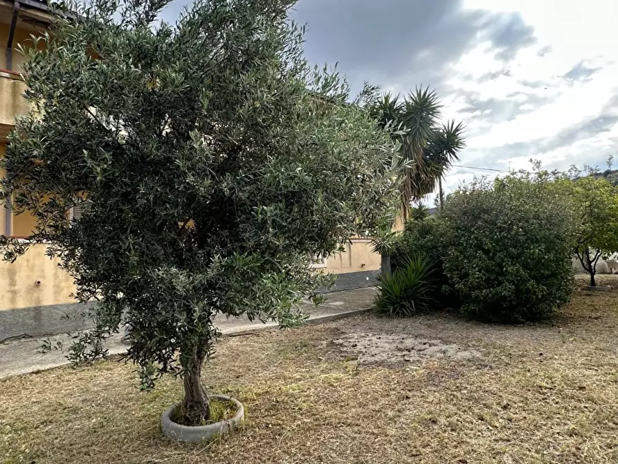 Immagine 8 di Villa in vendita  a Montebello Ionico