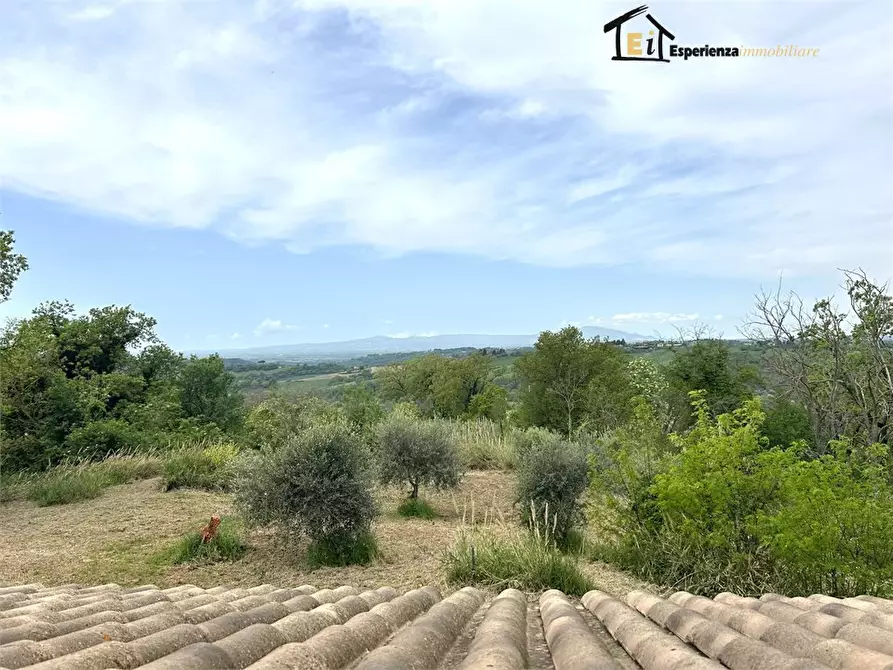 Immagine 3 di Villa in vendita  snc a Collevecchio