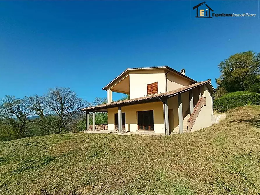 Immagine 6 di Villa in vendita  snc a Collevecchio