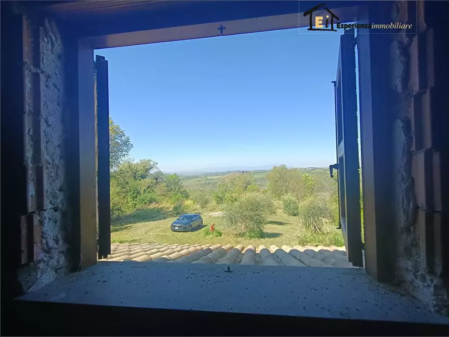 Immagine 10 di Villa in vendita  snc a Collevecchio