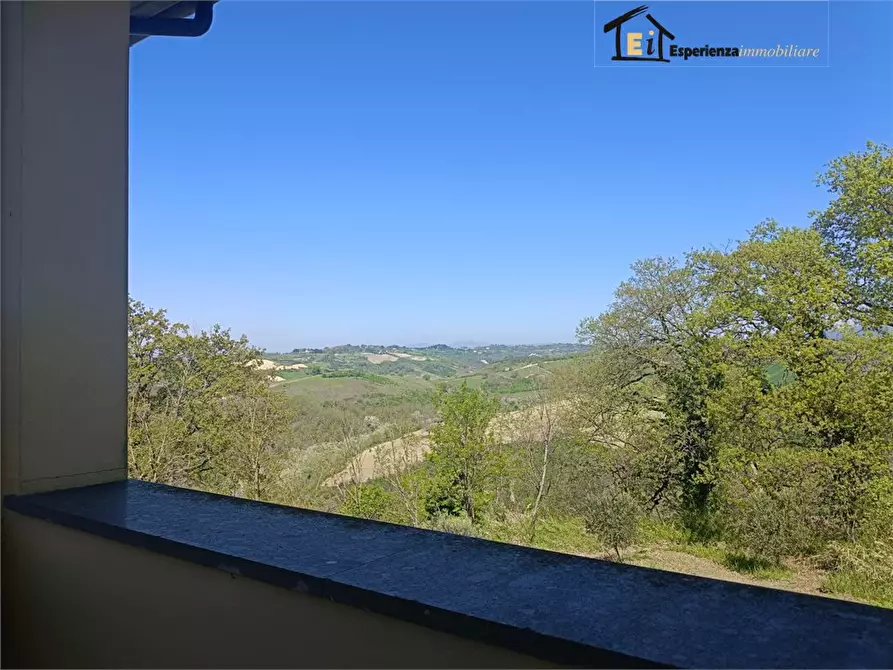 Immagine 5 di Villa in vendita  snc a Collevecchio