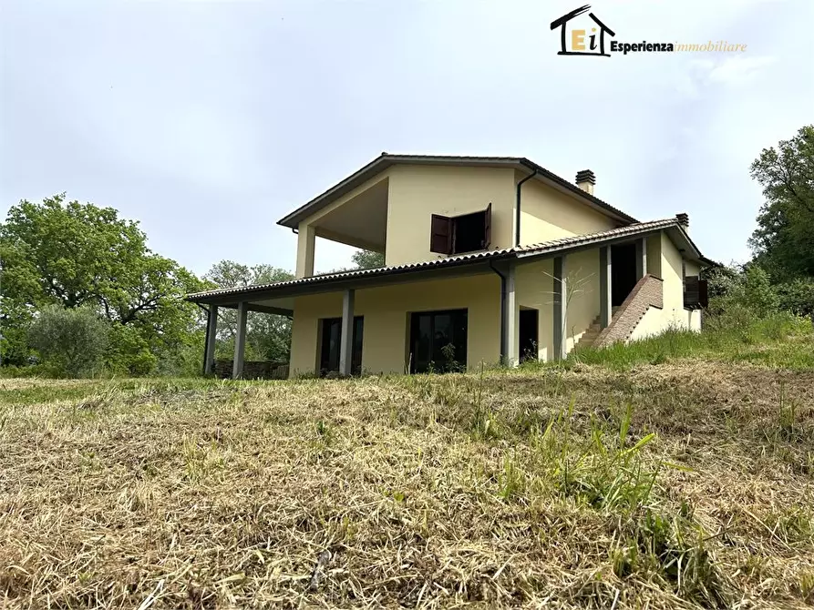 Immagine 2 di Villa in vendita  snc a Collevecchio