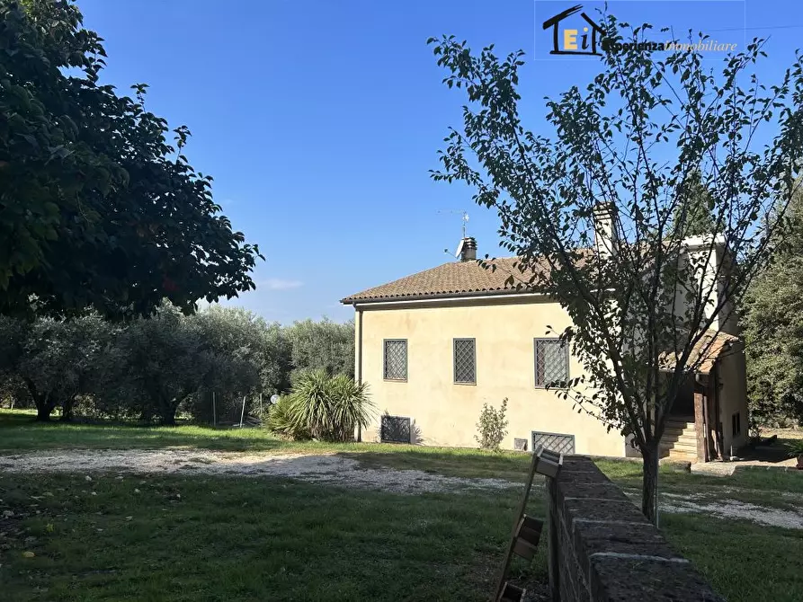 Immagine 4 di Villa in vendita  a Montebuono