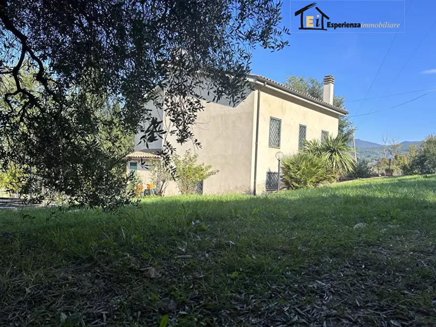 Immagine 1 di Villa in vendita  a Montebuono