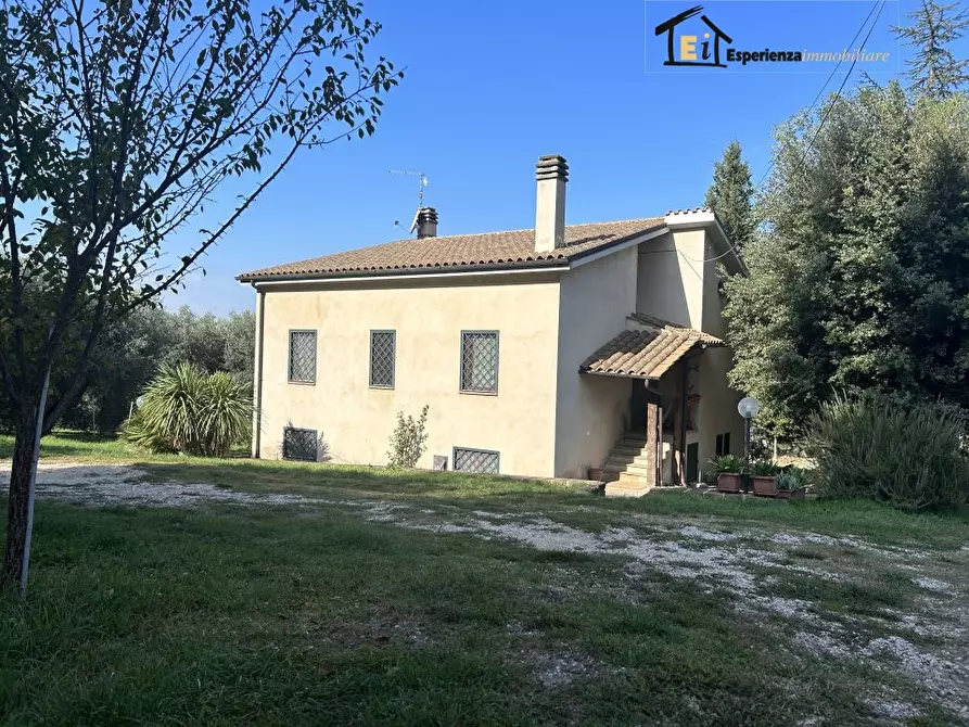 Immagine 2 di Villa in vendita  a Montebuono