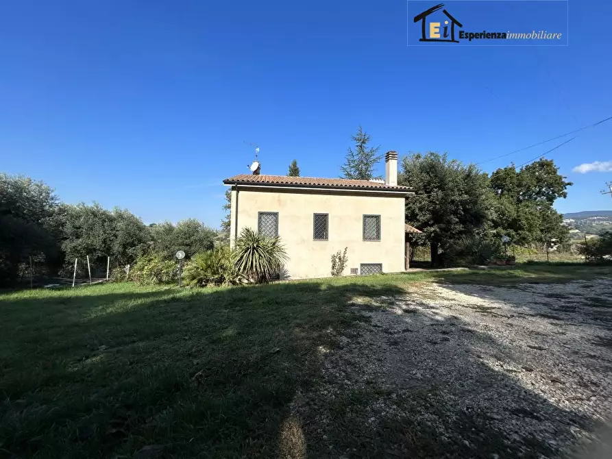 Immagine 3 di Villa in vendita  a Montebuono