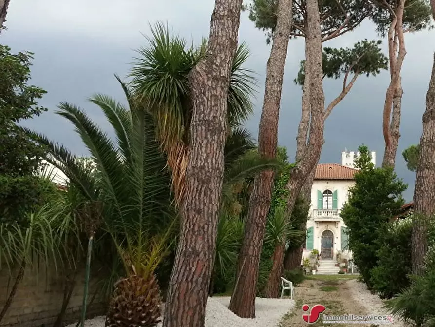Immagine 3 di Villa in vendita  98 a Grottaferrata