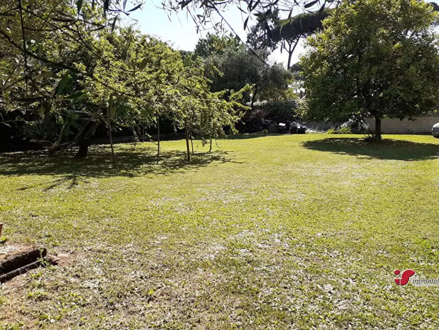 Immagine 7 di Villa in vendita  98 a Grottaferrata