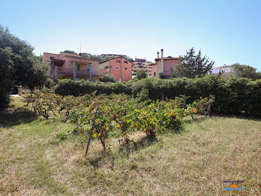 Immagine 1 di Villa in vendita  65 a Castelsardo