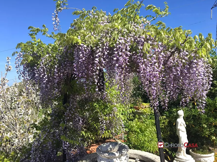 Immagine 5 di Villa in vendita  a Messina