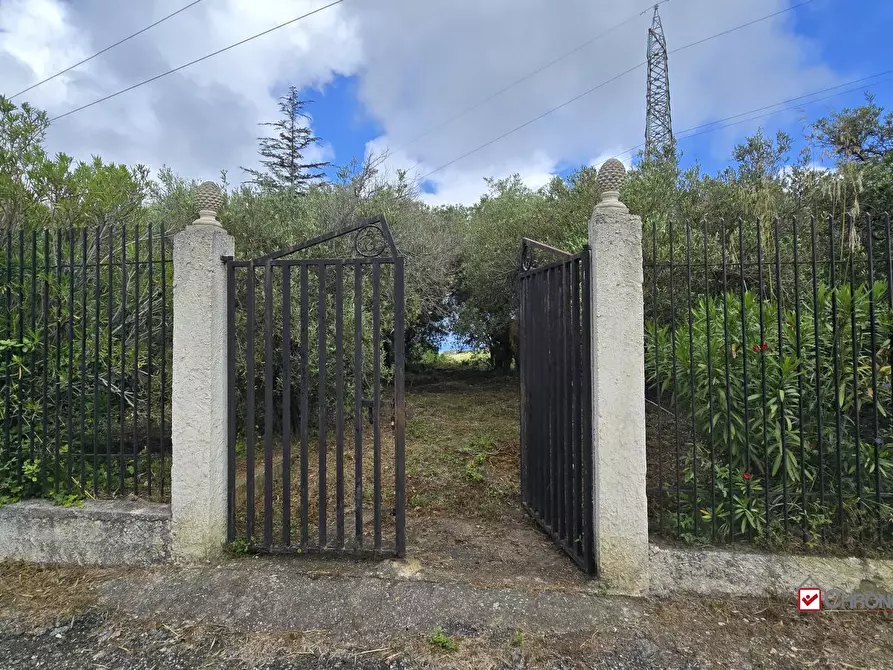 Immagine 4 di Villa in vendita  a Messina