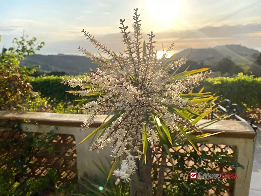 Immagine 3 di Villa in vendita  a Messina