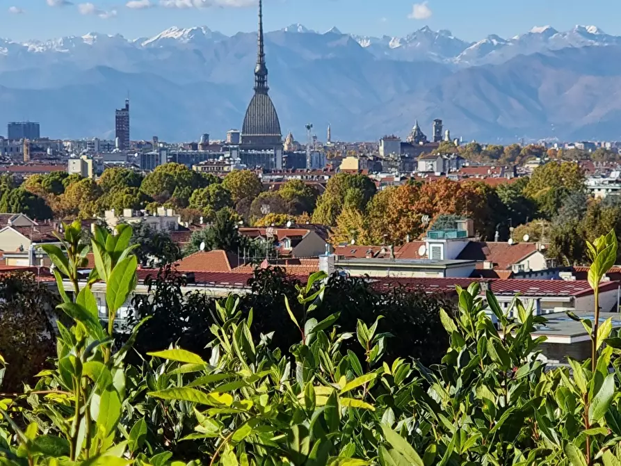 Immagine 3 di Villa in vendita  a Torino