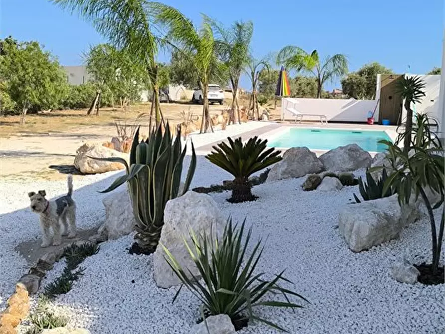 Immagine 4 di Villa in vendita  a Pachino